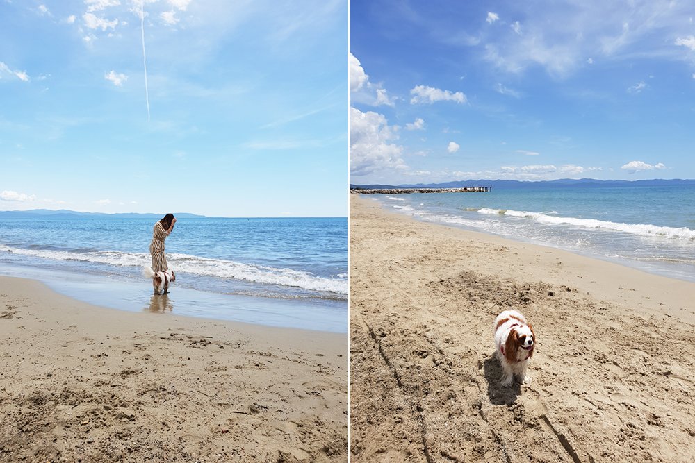 spiagge cani Toscana